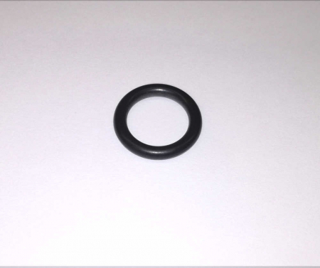 O-ring F004573